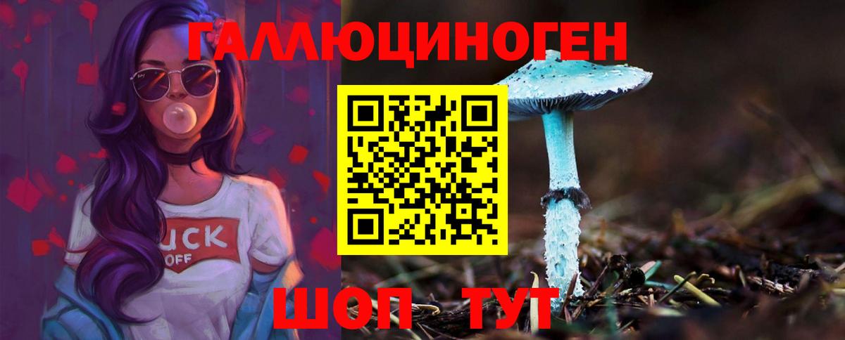 Галлюциногенные грибы MAGIC MUSHROOMS  Вход с VPN  Фурманов 