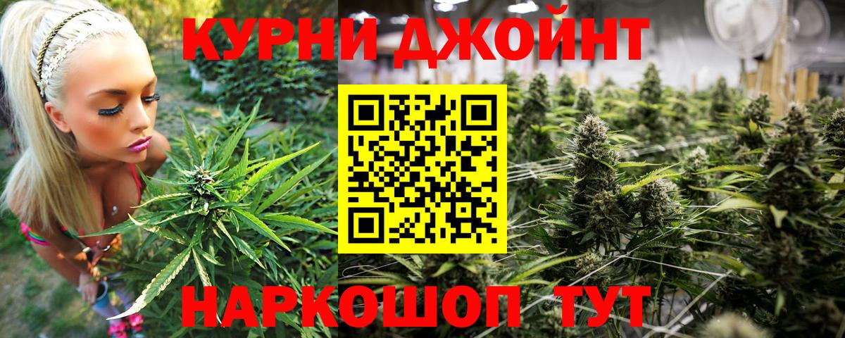 Конопля конопля Фурманов